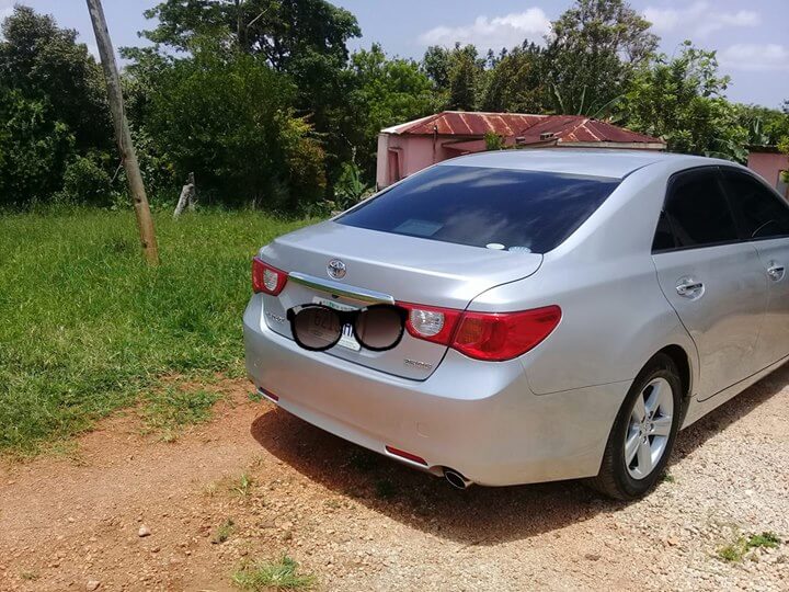 markx for sale in jamaica