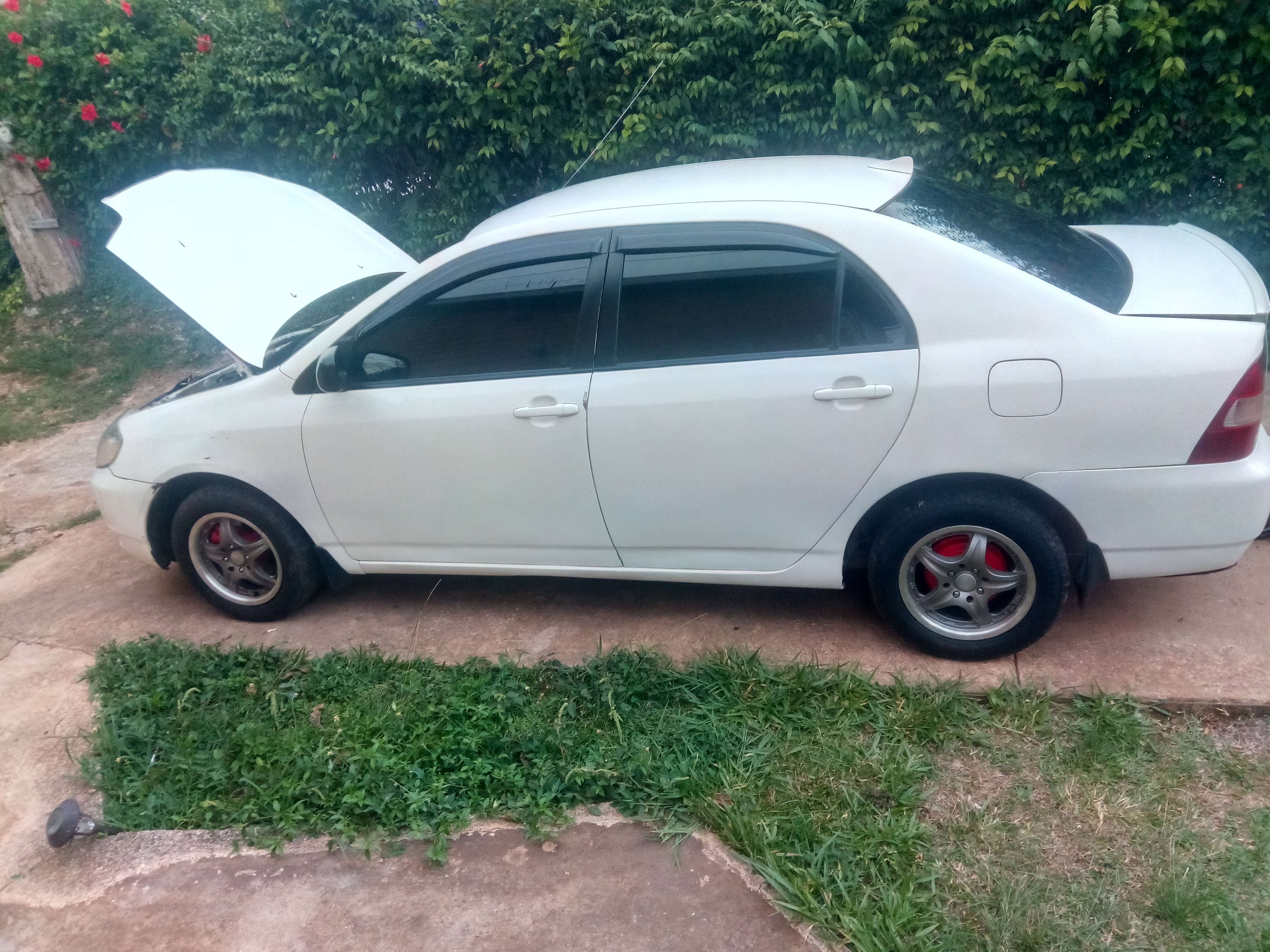 Toyota Corolla kingfish for sale in Jamaica CarsJa.Co