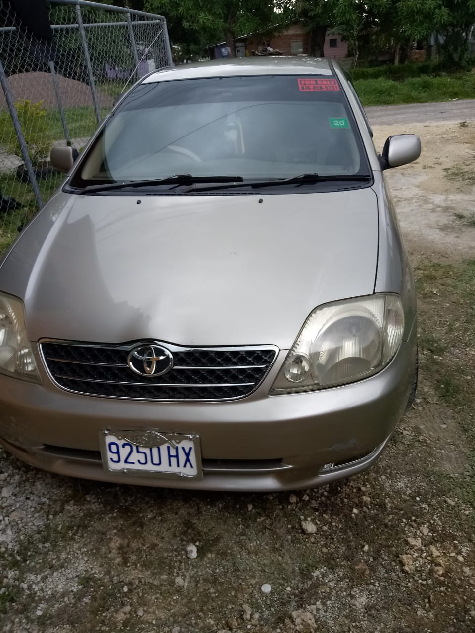 Toyota For Sale in Jamaica | CarsJa.Co