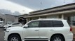 Used 2019 Land Cruiser